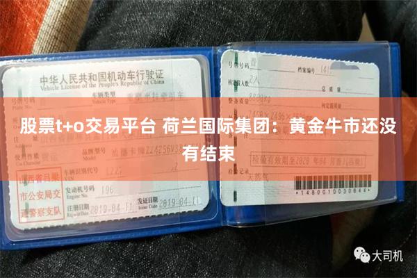 股票t+o交易平台 荷兰国际集团：黄金牛市还没有结束