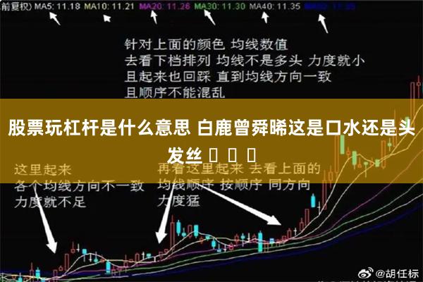 股票玩杠杆是什么意思 白鹿曾舜晞这是口水还是头发丝 ​​​