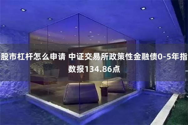 股市杠杆怎么申请 中证交易所政策性金融债0-5年指数报134.86点