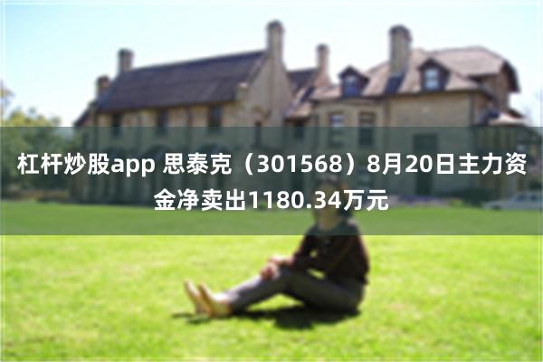 杠杆炒股app 思泰克（301568）8月20日主力资金净卖出1180.34万元