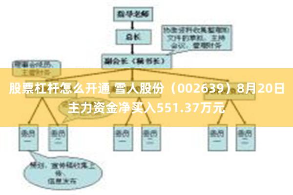 股票杠杆怎么开通 雪人股份（002639）8月20日主力资金净买入551.37万元