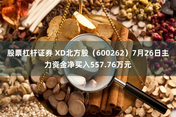 股票杠杆证券 XD北方股（600262）7月26日主力资金净买入557.76万元