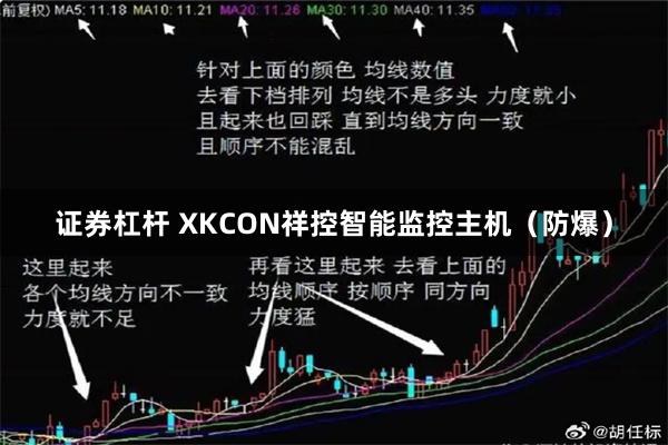 证券杠杆 XKCON祥控智能监控主机（防爆）