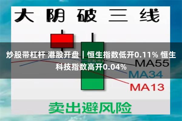 炒股带杠杆 港股开盘｜恒生指数低开0.11% 恒生科技指数高开0.04%