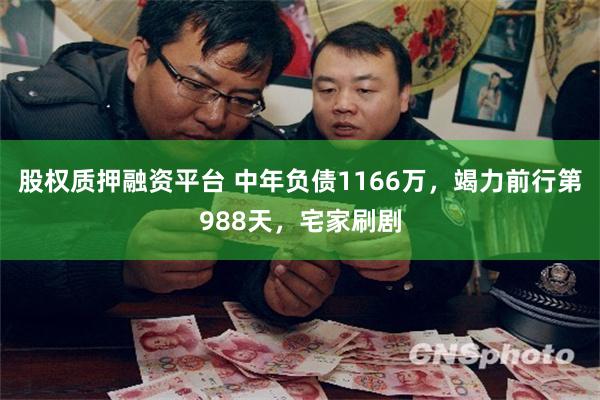 股权质押融资平台 中年负债1166万，竭力前行第988天，宅家刷剧