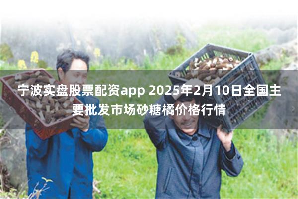 宁波实盘股票配资app 2025年2月10日全国主要批发市场砂糖橘价格行情