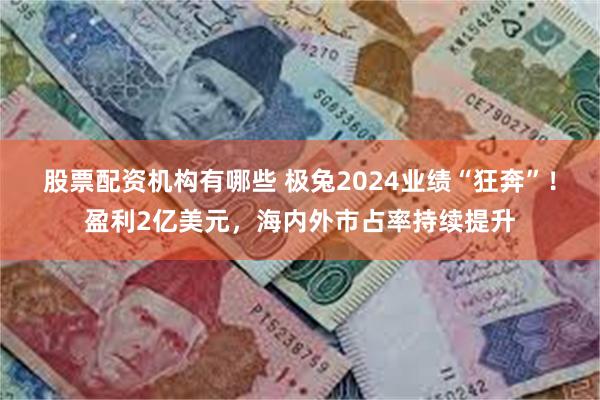 股票配资机构有哪些 极兔2024业绩“狂奔”！盈利2亿美元，海内外市占率持续提升